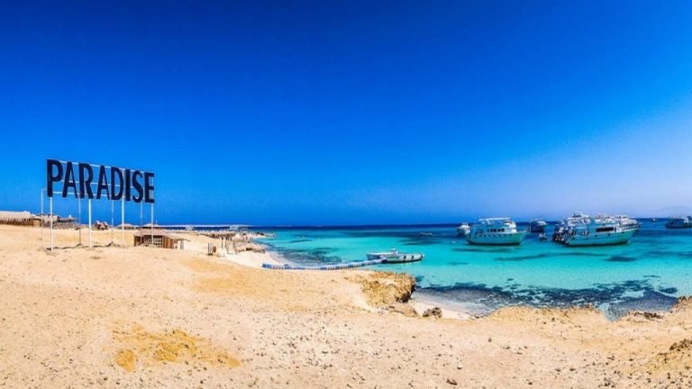 Paradise Island Snorkeling