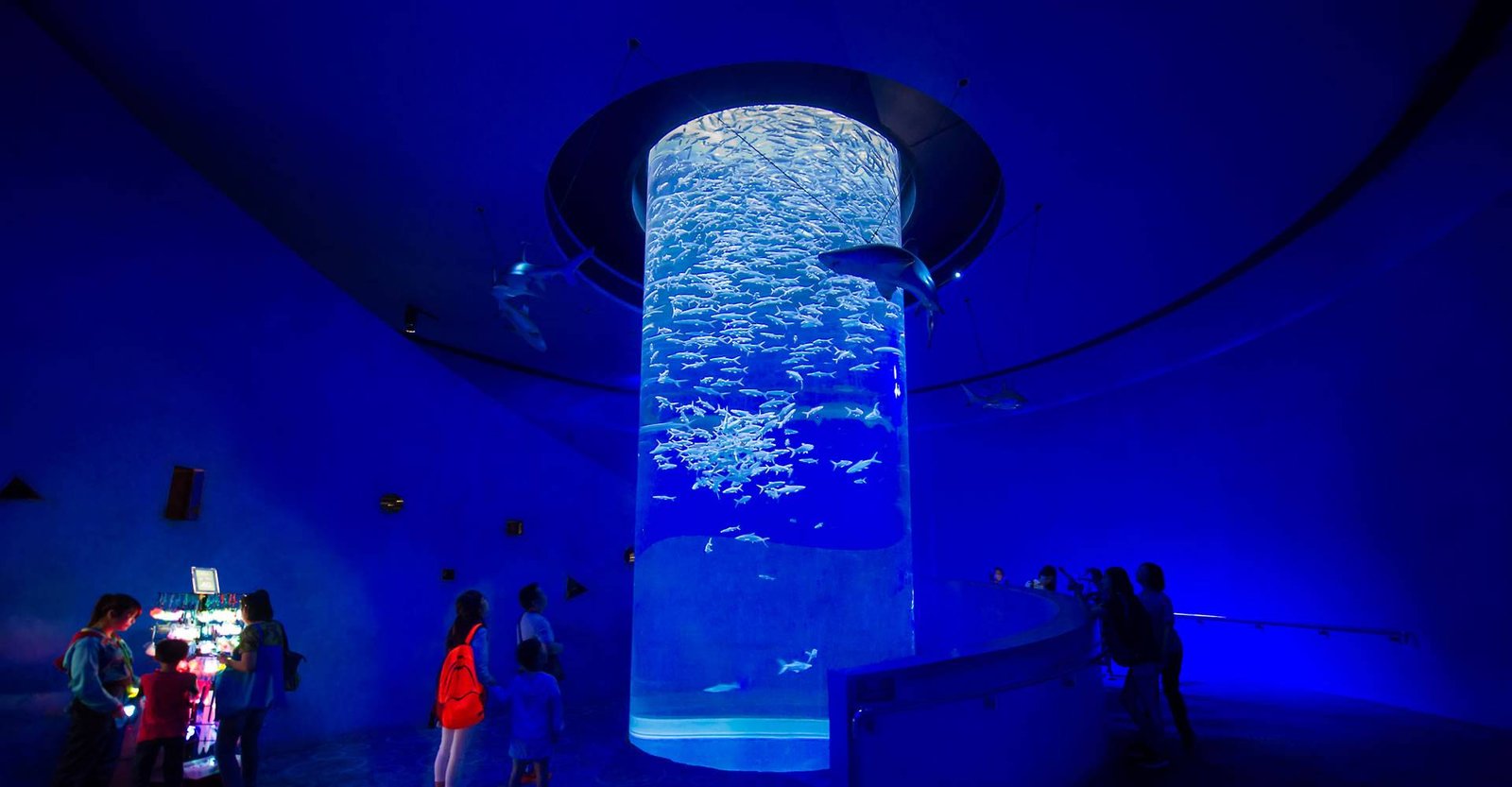 Grand Aquarium & Zoo, Hurghada