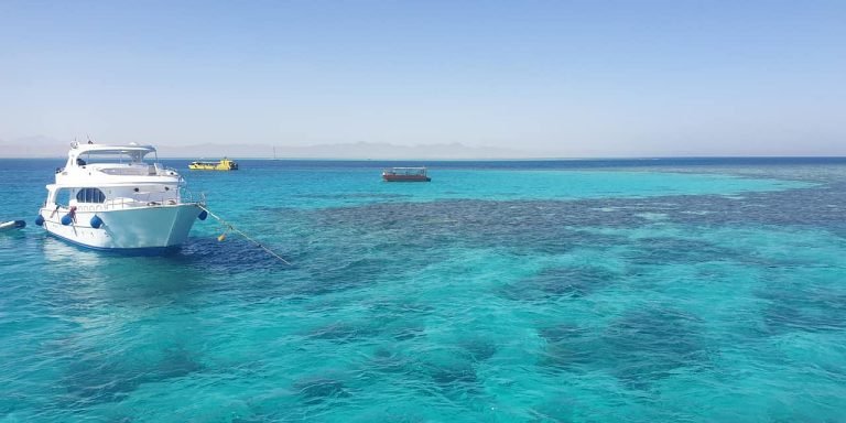 Samadai Dolphin House Snorkeling