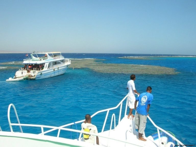 Samadai Dolphin House Snorkeling