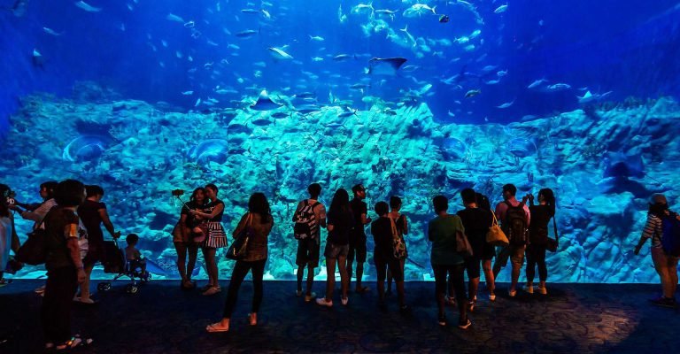 Grand Aquarium & Zoo, Hurghada
