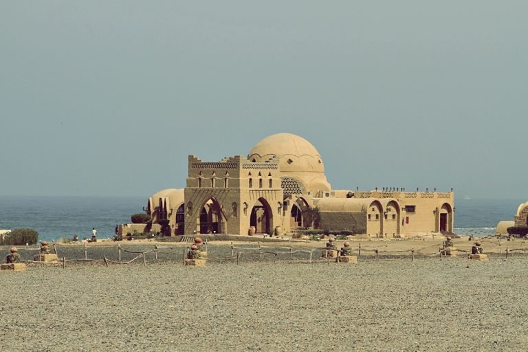 Marsa Shuna & Marsa Mubarak Snorkeling