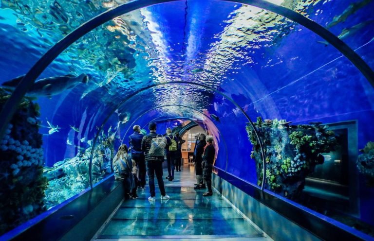 Grand Aquarium & Zoo, Hurghada