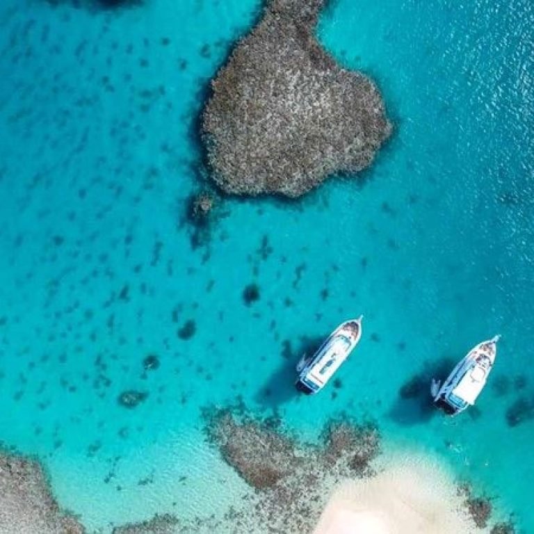 Hamata Nature Reserve Snorkeling