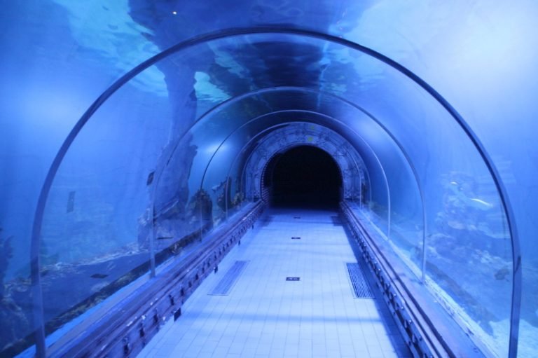 Grand Aquarium & Zoo, Hurghada