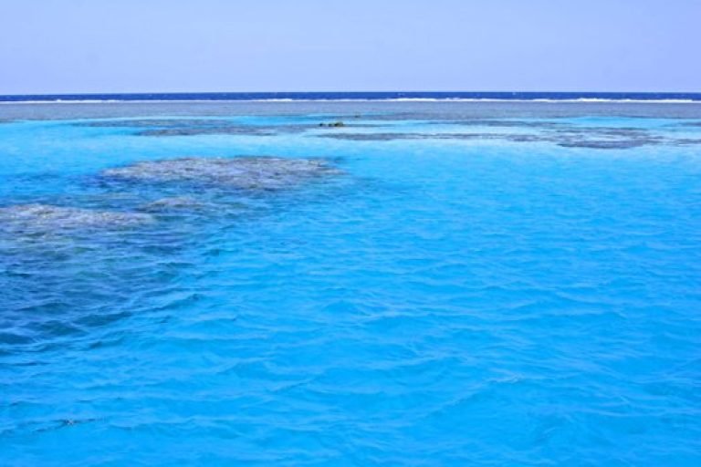 Sataya Nature Reserve Snorkeling