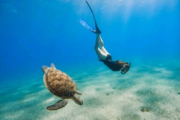 Abu Dabab Bay Snorkeling