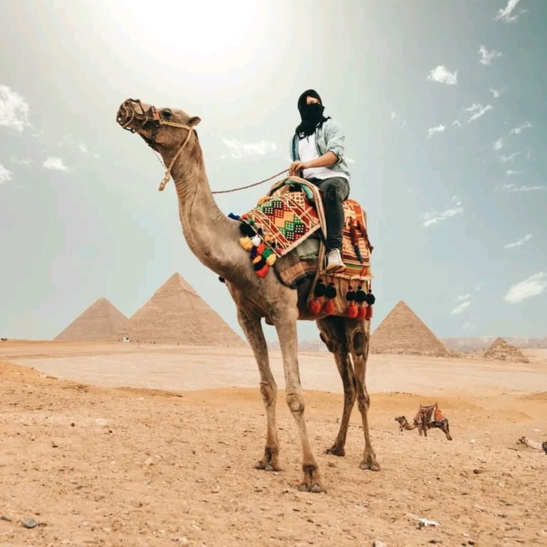 Cairo & Alexandria (2 Days)