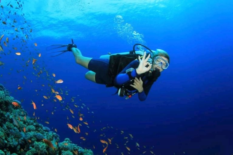 Marsa Alam Boat Diving Trip