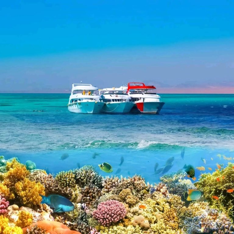 Marsa Alam Boat Diving Trip