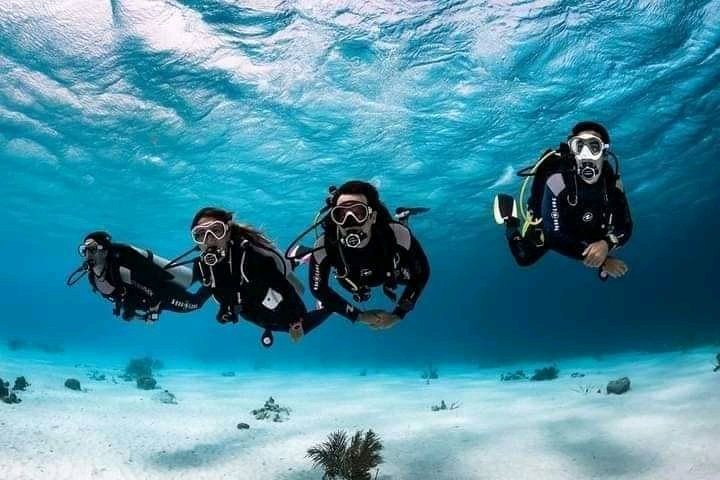 Marsa Alam Boat Diving Trip