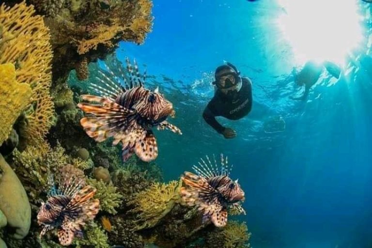 Marsa Alam Boat Diving Trip