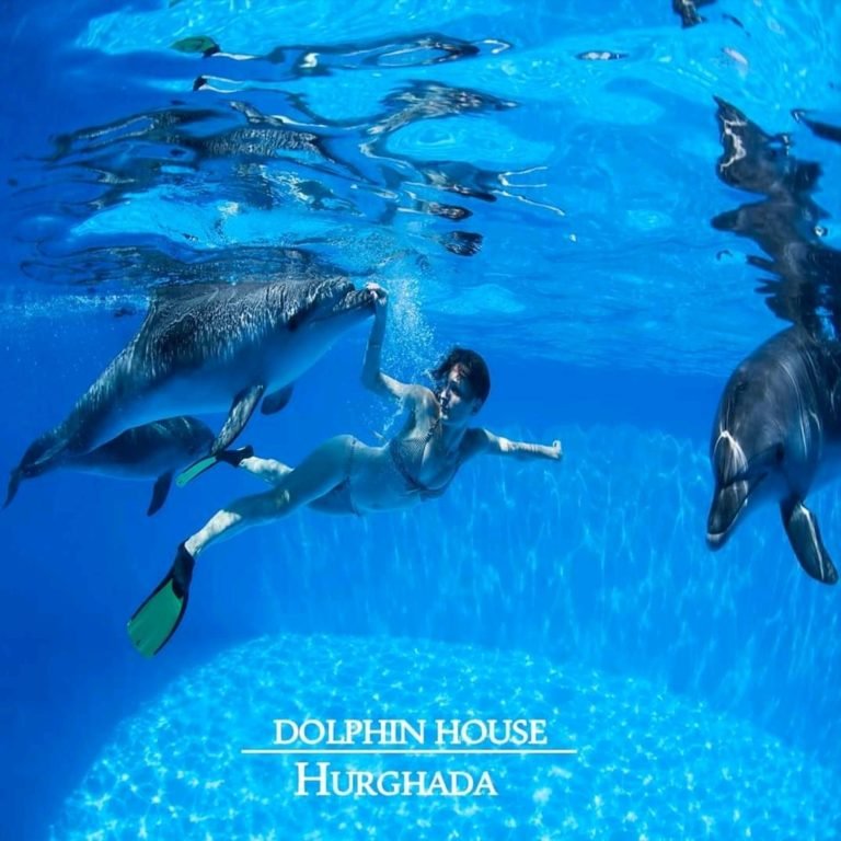 Dolphinarium Show, Hurghada