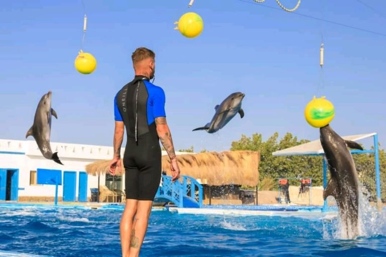 Dolphinarium Show, Hurghada