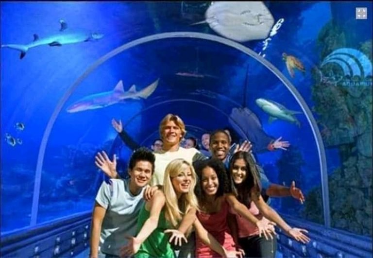 Grand Aquarium & Zoo, Hurghada