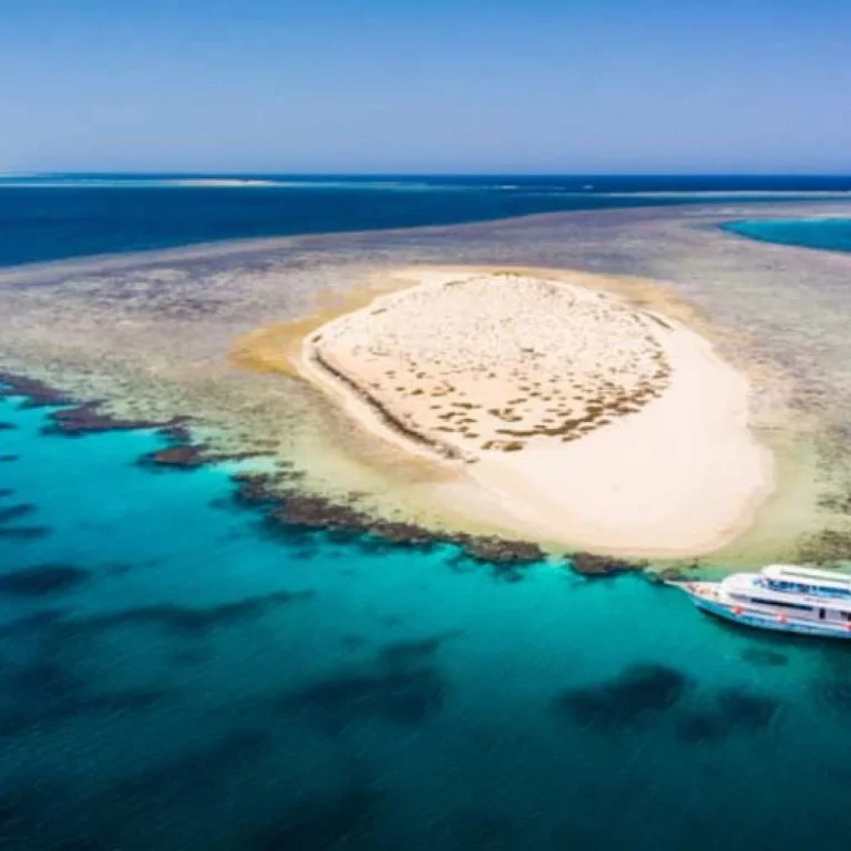 Hamata Nature Reserve Snorkeling