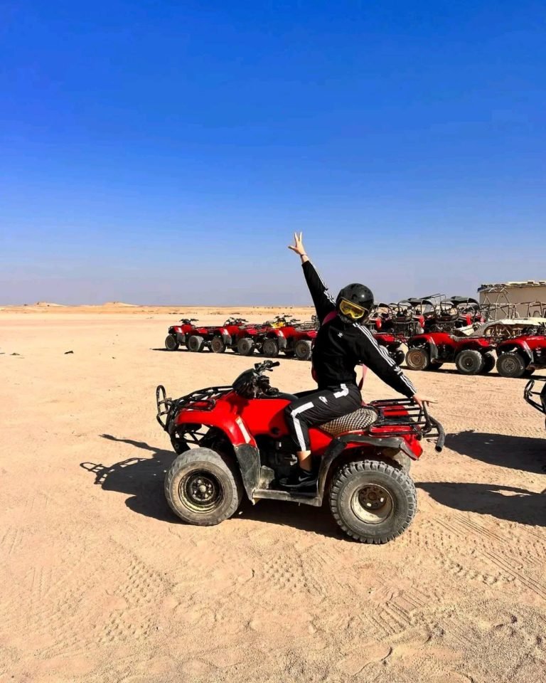 Super Safari with Dinner & Show