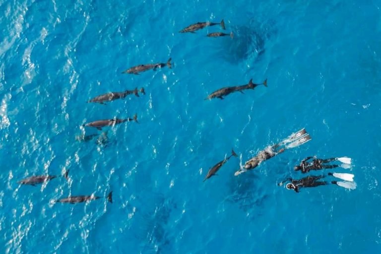 Sataya Nature Reserve Snorkeling