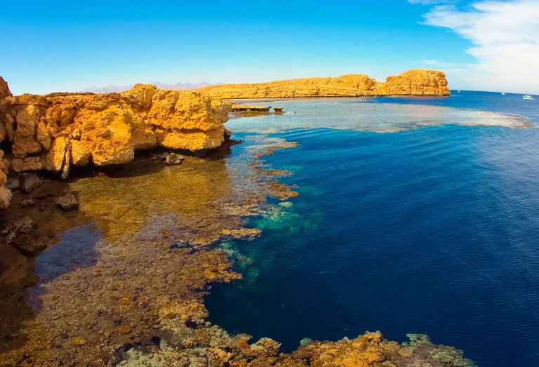 Ras Mohammed & White Island