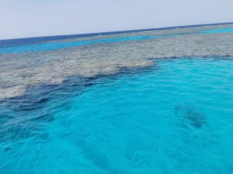 Sataya Nature Reserve Snorkeling
