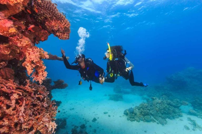Samadai Dolphin House Snorkeling