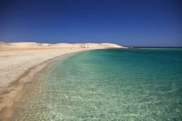 Marsa Shuna & Marsa Mubarak Snorkeling