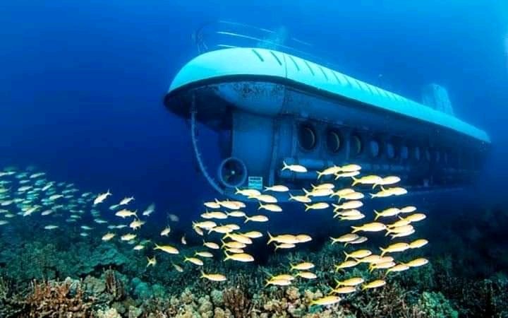 Sindbad Submarine